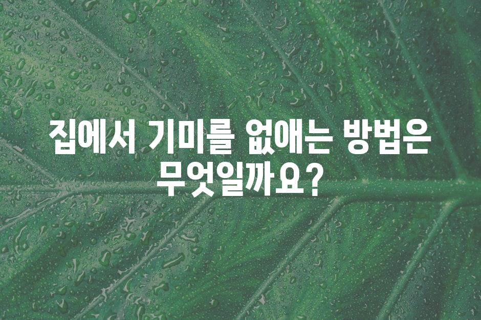 샘플 (44)