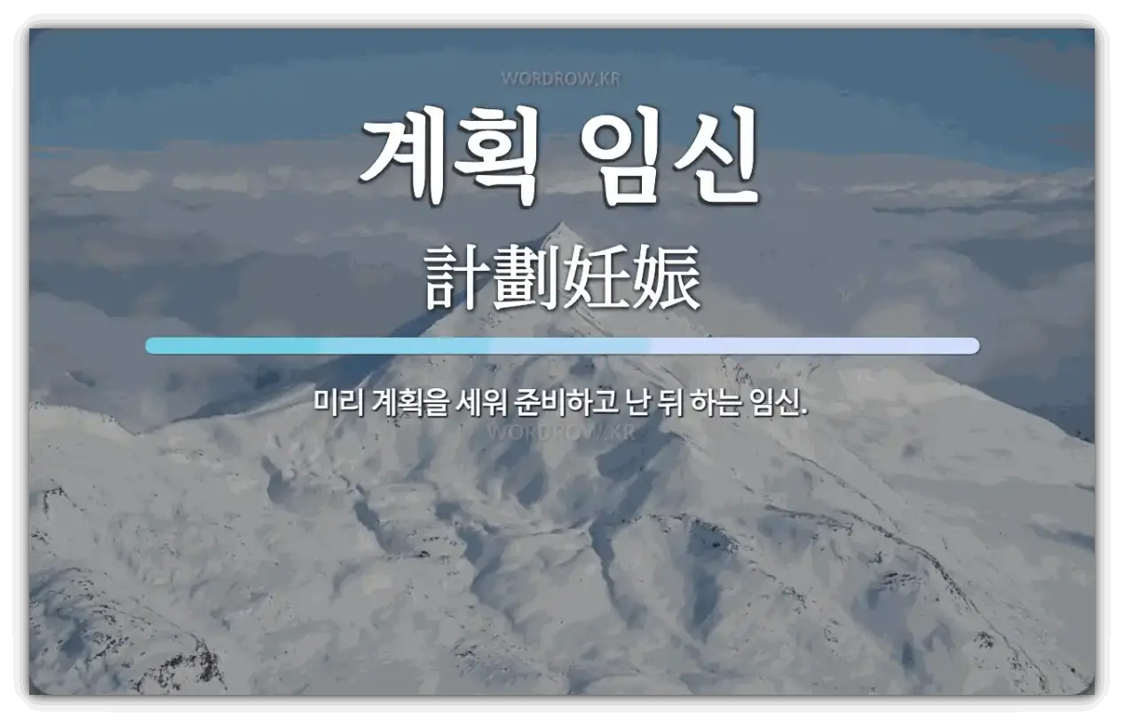 계획임신