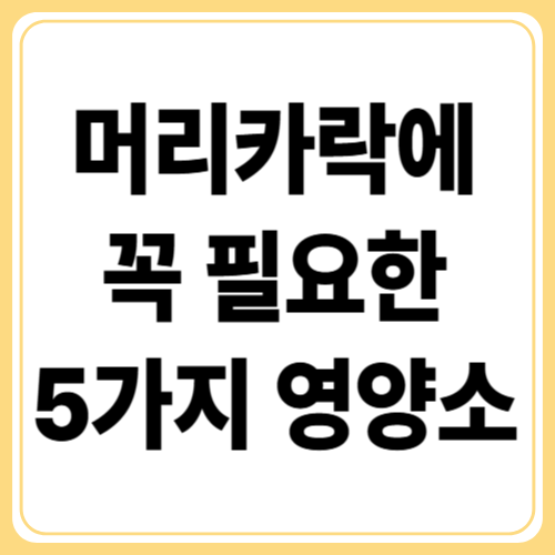 탈모! 비타민이 답일까? 머리카락을 살리는 5가지 필수 영양소