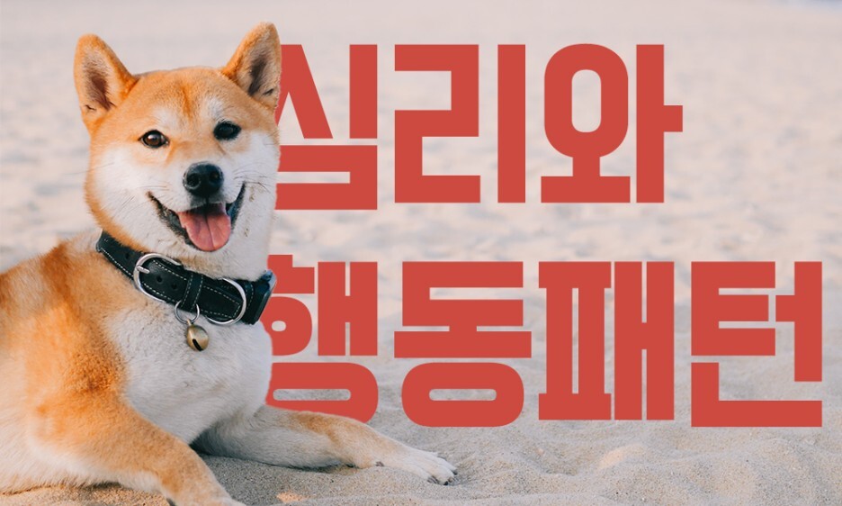 강아지-감정-행동
