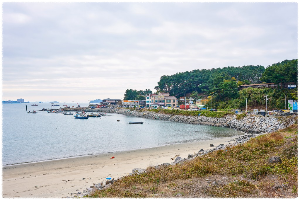 죽도