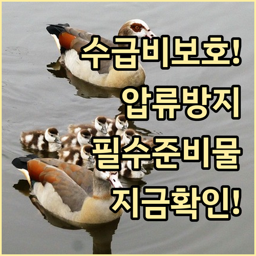 기초생활수급비 압류 방지 계좌 개설 ..