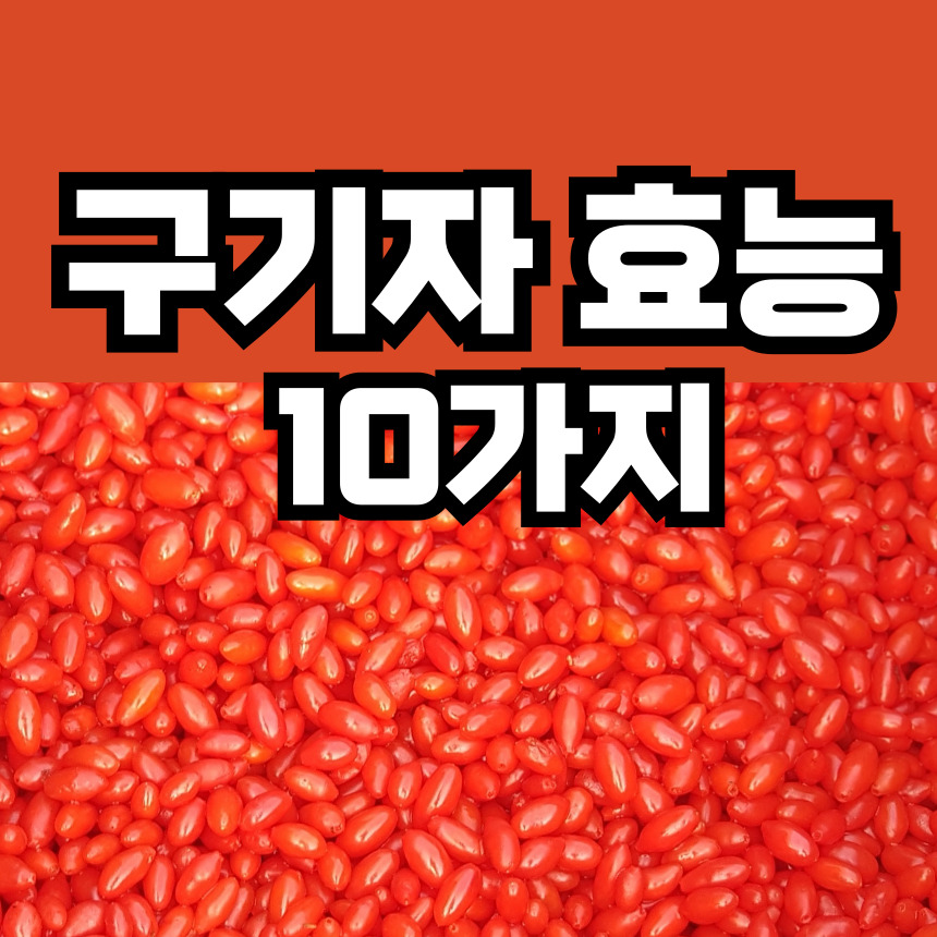 구기자 효능