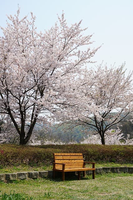여행을 넘어 경험으로: 전문 여행 플래너와 함께하는 여정의 가치