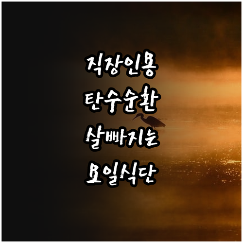 직장인도 가능한 탄수화물 순환 다이어..