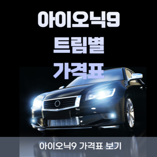 현대 아이오닉 9 트림별 가격표