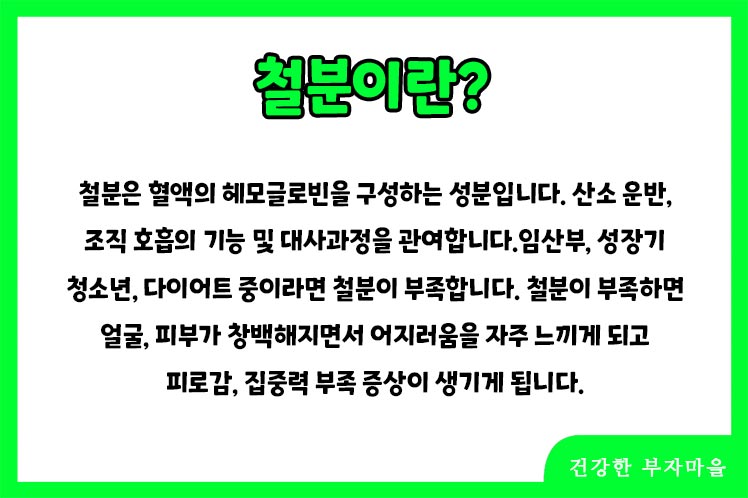 철분 많은 음식 BEST10 - 철분이란?