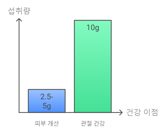 콜라겐 하루 권장 섭취량