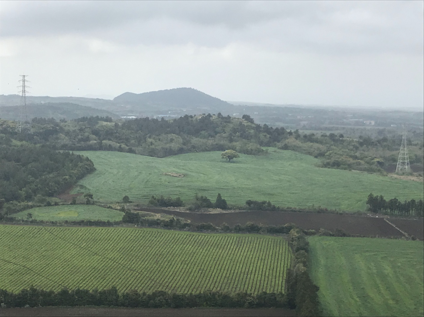 안돌오름 주변 풍경