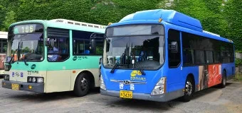대구 시내버스 첫차시간 노선별 운행정보와 이용 꿀팁_10