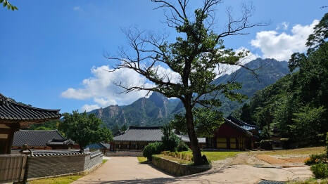 속초 신흥사 : 설악산의 숨결과 통일의 염원이 머무는 곳 설악산의 깊은 산문을 지키는 천년 고찰