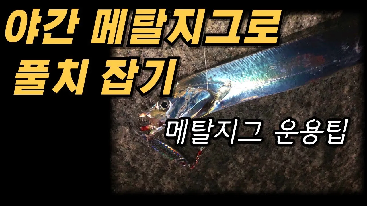 메탈지그 운용 삼치 회유 타이밍 포인트와 릴링 속도 조절_2