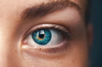 루테인 지아잔틴 아스타잔틴 부작용 효능 복용시간