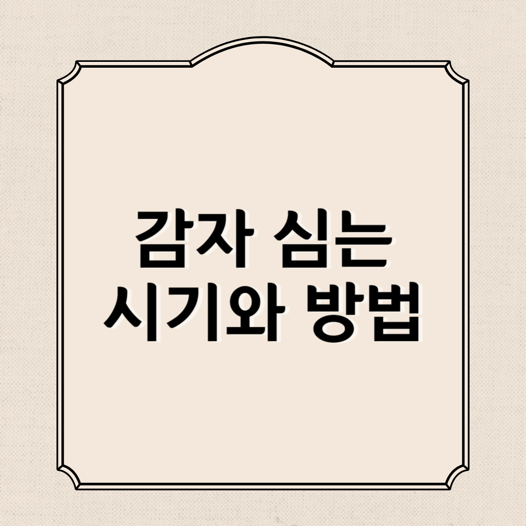 감자 심는 시기 심는방법 알아보기