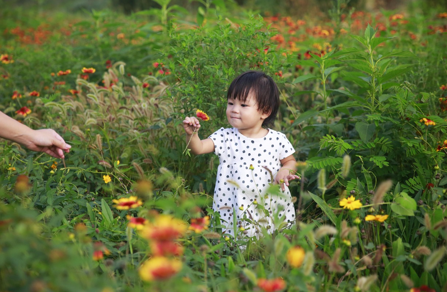 여행 추억 사진