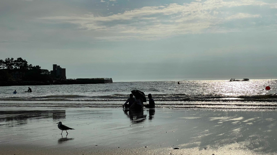 보령 용두해수욕장