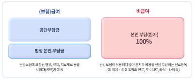 비급여란