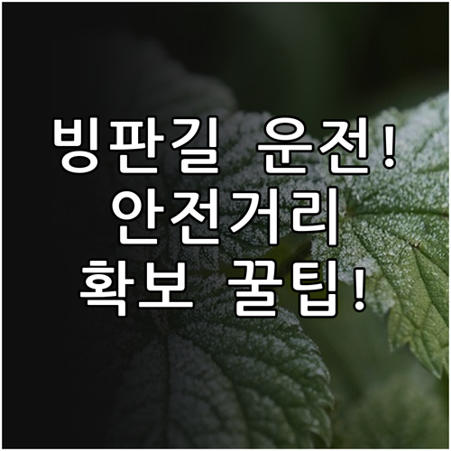 미끄러운 빙판길 운전 서행과 충분한 ..