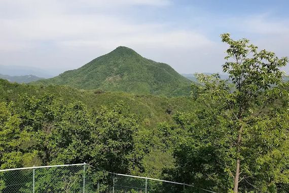 노아의숲