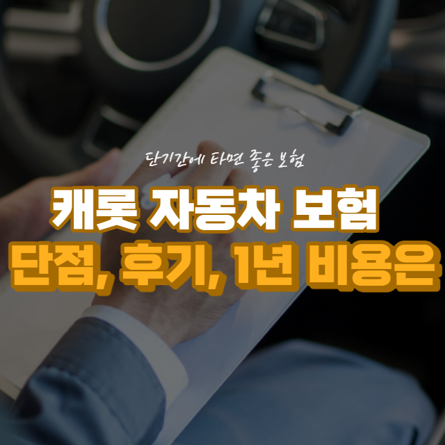 캐롯 자동차 보험