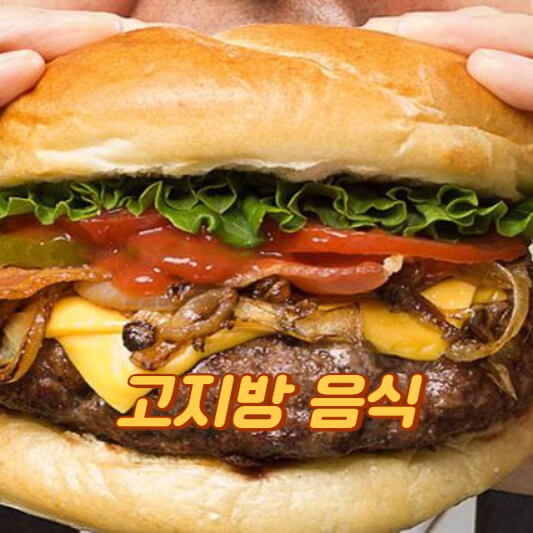 고지방 음식 종류