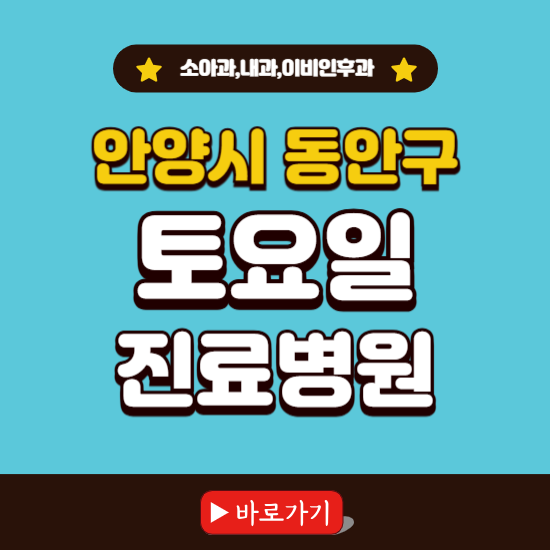 안양시 동안구 토요일 진료 병원 찾기 ❘ 주말 문여는 소아과, 내과, 이비인후과 리스트