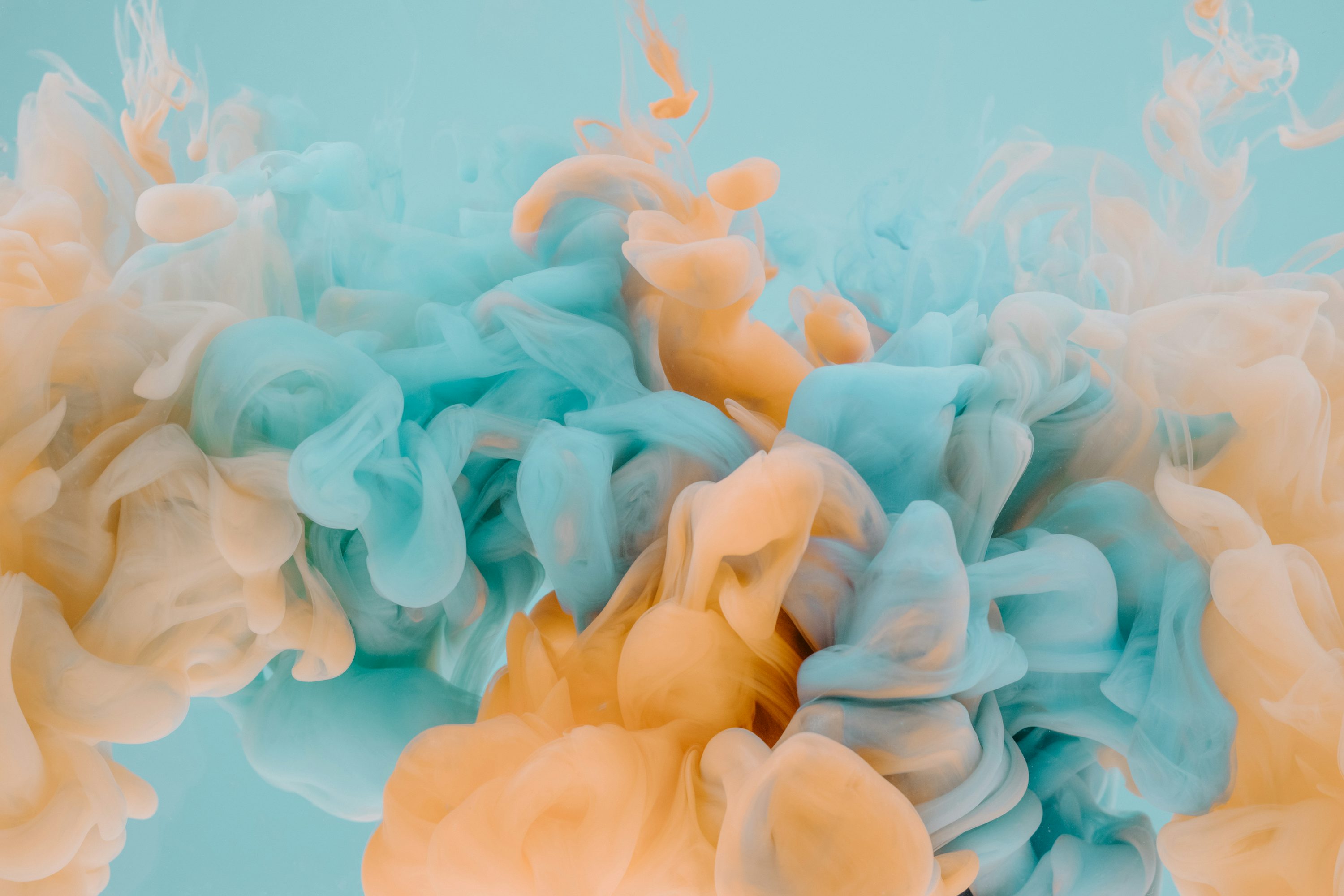 오늘의 운세 사진