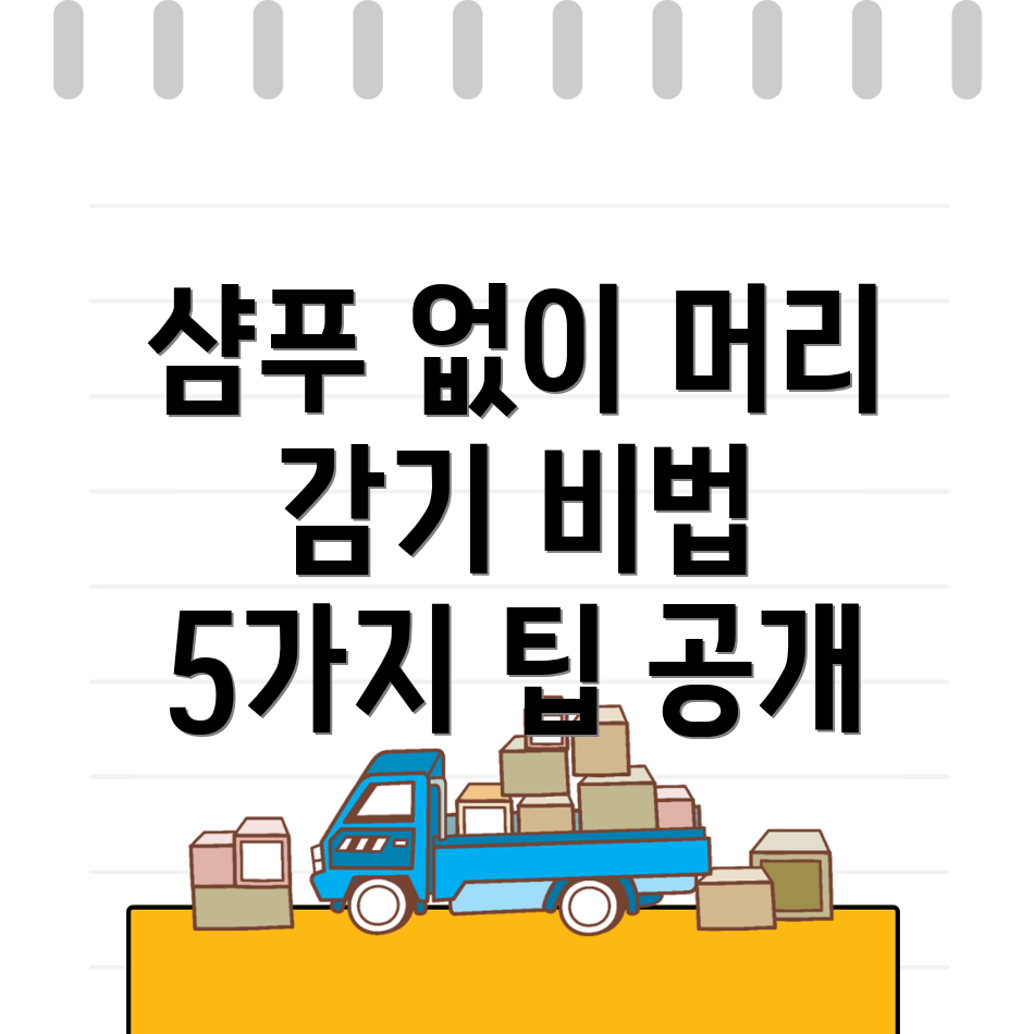 샴푸 없이 머리감기