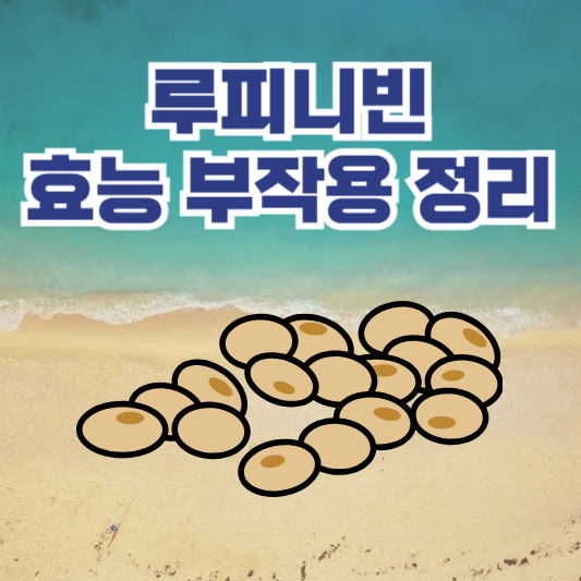 루피니빈(Lupini bean) 콩 효능 부작용 및 활용법