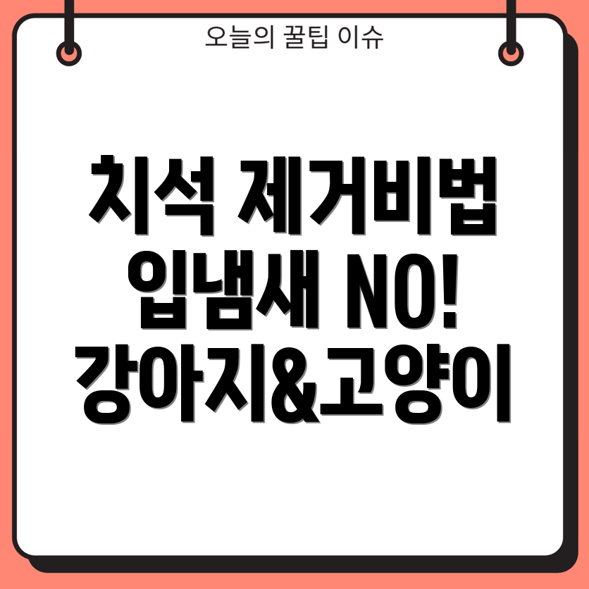 애완동물 구강 관리