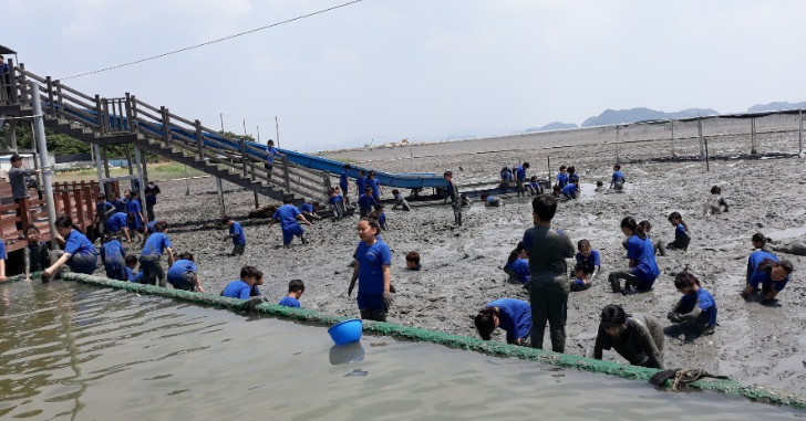 순천 뻘배체험장 정보 안내