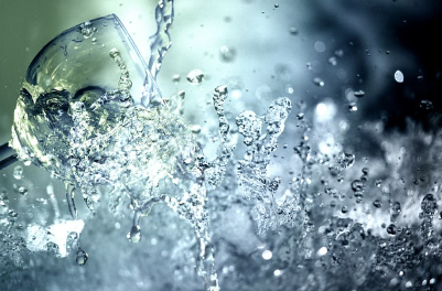 고양이의 물 섭취량: 충분히 마시고 있을까?