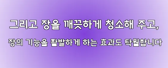 그리고 장을 깨끗하게 청소해 주고, 장의 기능을 활발하게 하는 효과도 탁월합니다