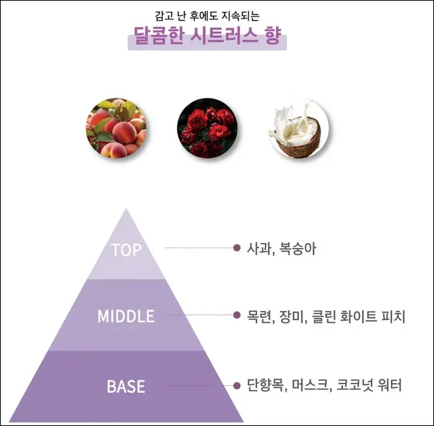 에이르보 10 스칼프