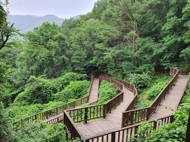 국립산림치유원