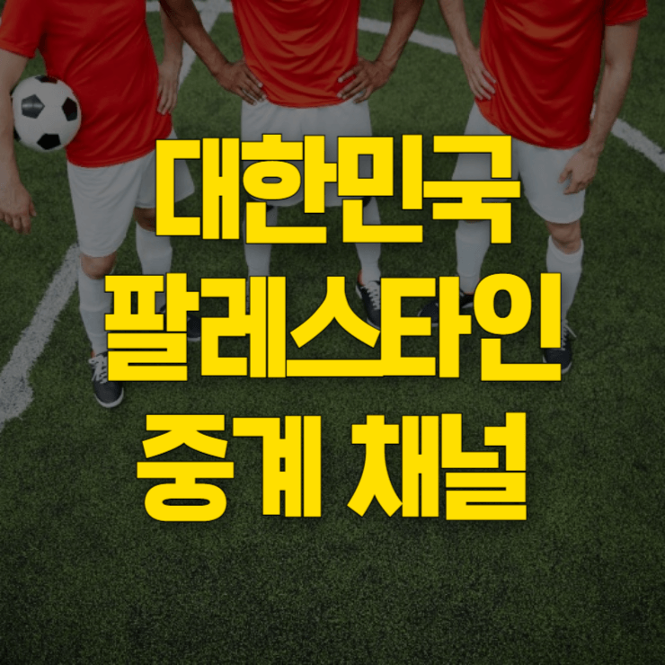 대한민국-팔레스타인-중계-대표사진