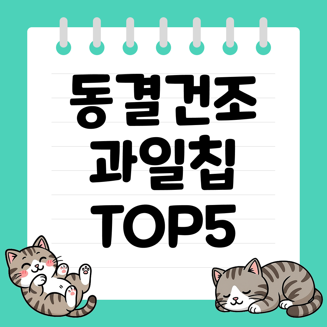 아이 간식으로 부담 없는 동결건조 과일칩 추천 순위 TOP5