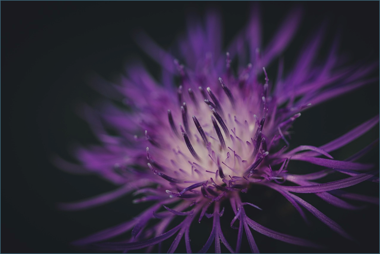 건강보험 상한제 사후환급금