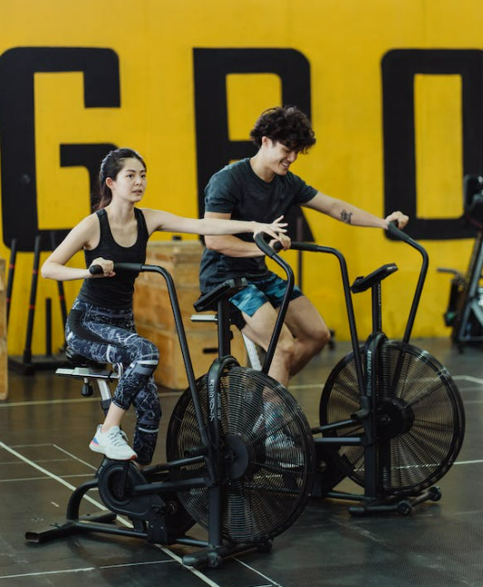 무릎 관절 운동기구 추천 엡립티컬 트레이너