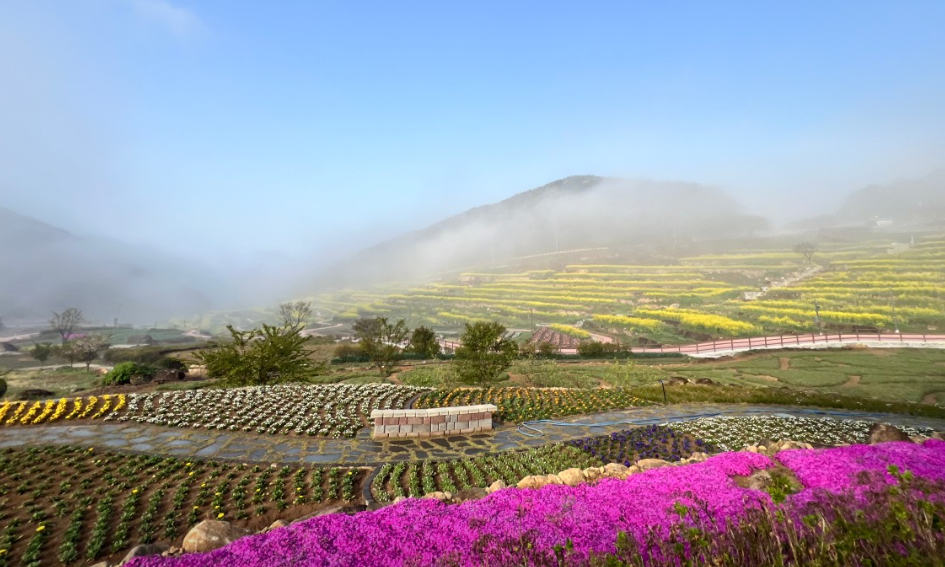 다랑이논식 정원