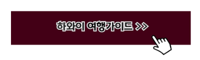 1월 신혼여행지 추천