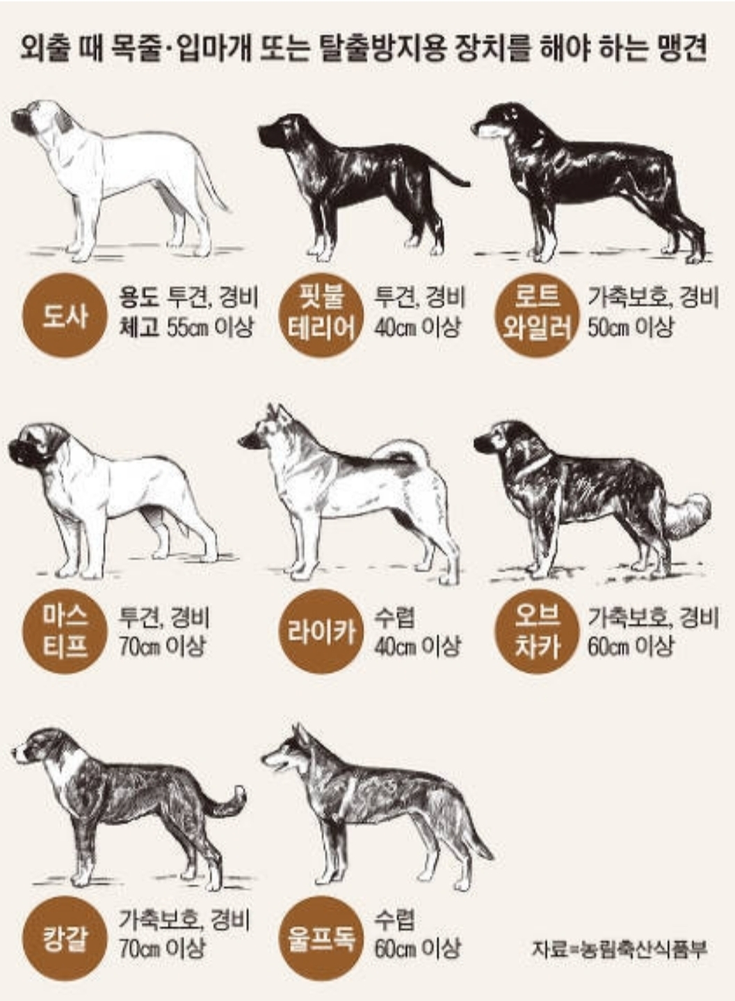맹견 류