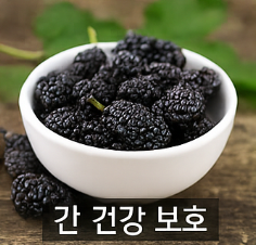 오디 효능