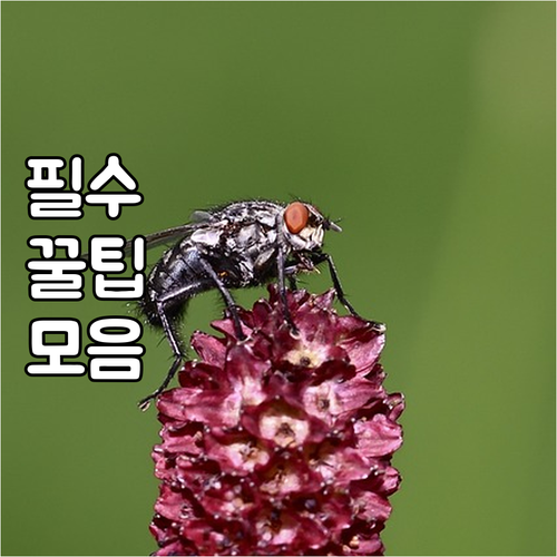 현대카드 렌터카 할인: 카드 종류별 ..