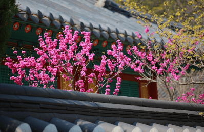 한옥호텔 추천 BEST 7