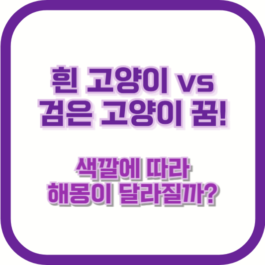 흰 고양이 vs 검은 고양이 꿈! 색깔에 따라 해몽이 달라질까?
