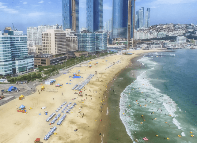 해수욕장 개장일정