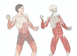 허벅지 통증 원인