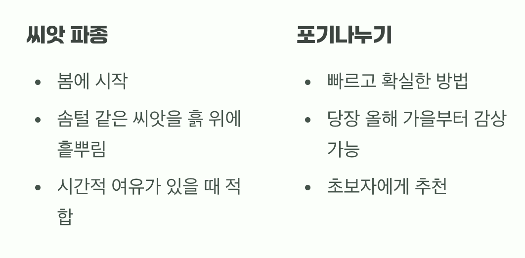 첫 만남, 씨앗 vs 포기나누기