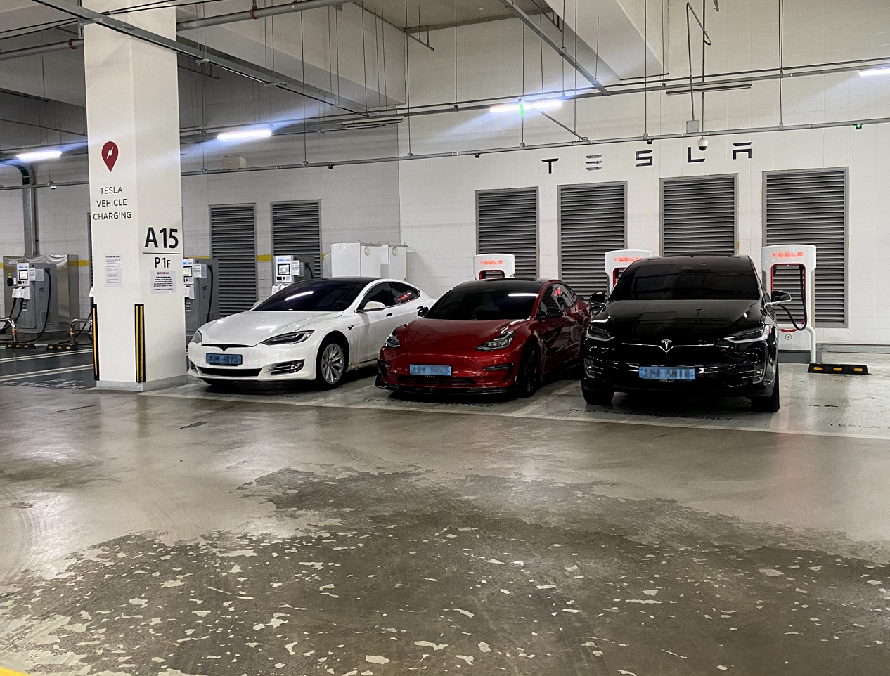 모델S-모델3-모델Y